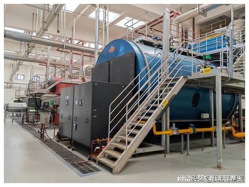 雙碳引領，節能增效 郴州卷煙廠擘畫綠色發展新藍圖